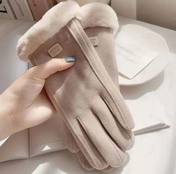 Winter Wear Gloves