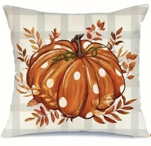 Decorative Pillow Covers & Pillows